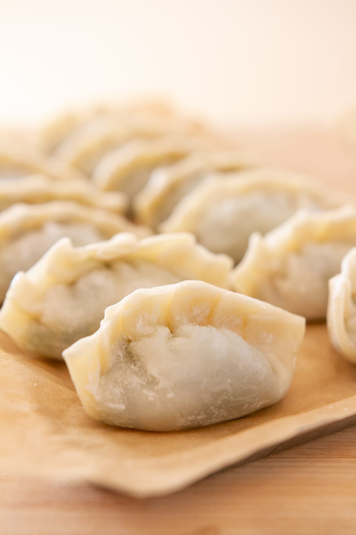 Freshly folded dumplings lined up on a tray covered with parchment paper.