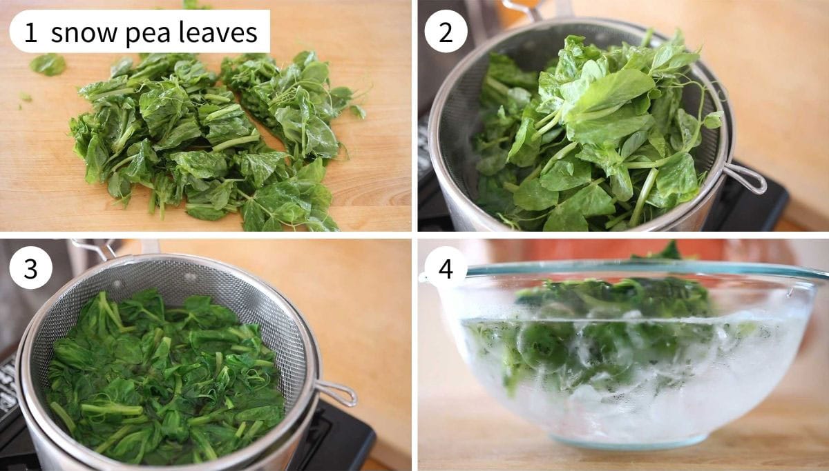4 step by step photos on how to prepare snow pea leaves for the dumpling filling.